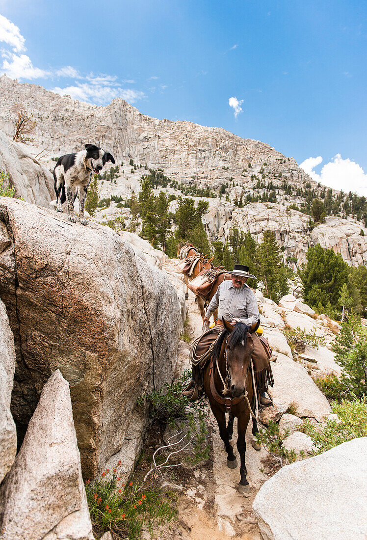 Horse Packing in the High Sierra