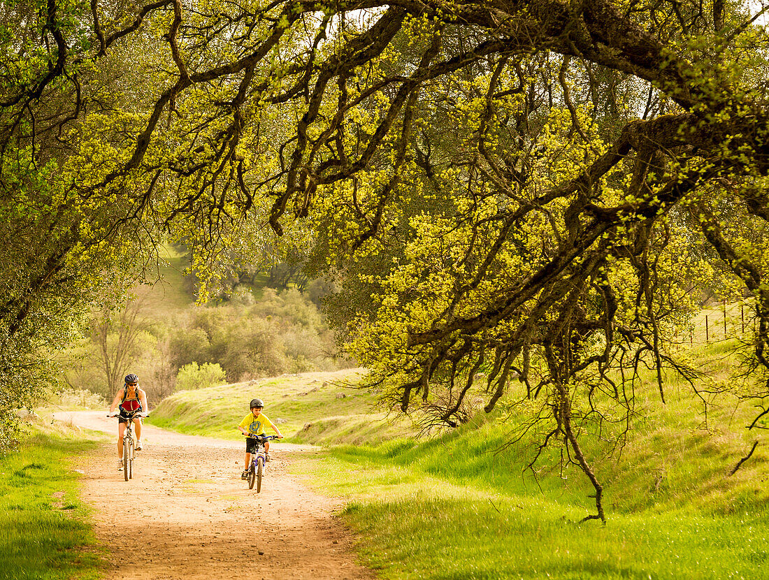 Mom and Son bike ride through oaks