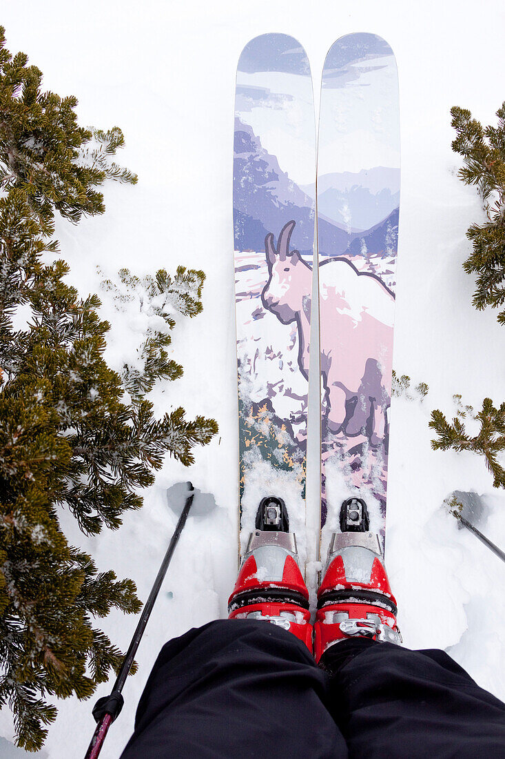 A backcountry skier in Pony, Montana.