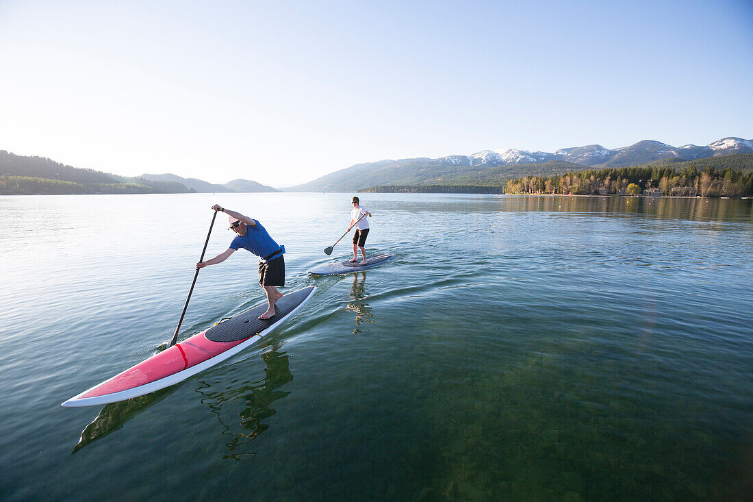 A fit male and female paddle their stand up paddle boards (SUP) at sunset on Whitefish Lake in Whitefish, Montana.