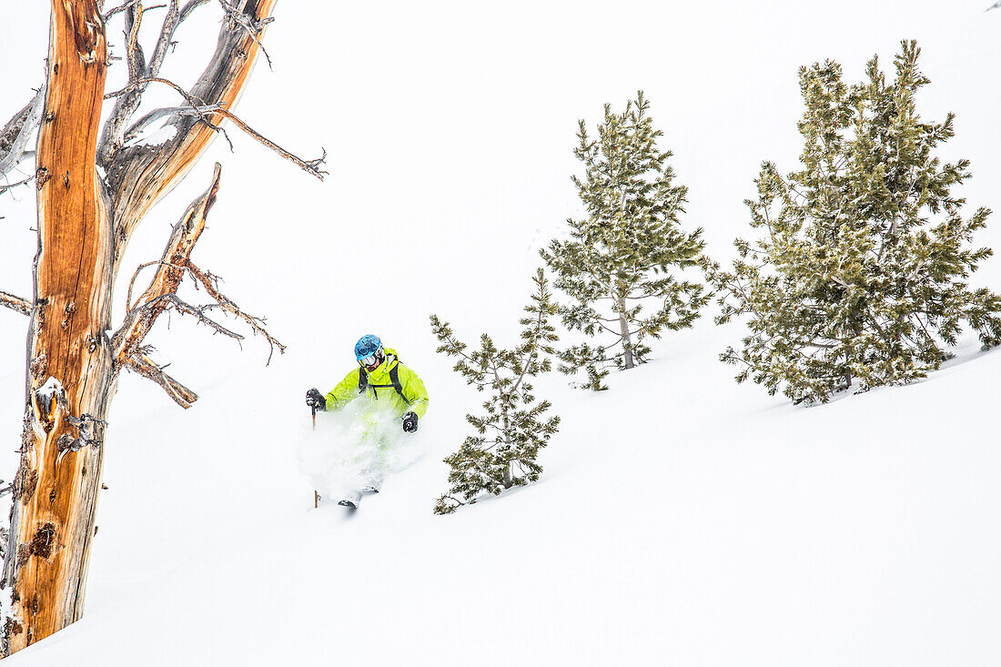 A male skier with a backpack on skis deep powder snow at Big Sky Resort the largest ski resort in the United States by acreage with 5,750 acres, 30 lifts and a vertical drop of 4,350 feet located in Big Sky, Montana.