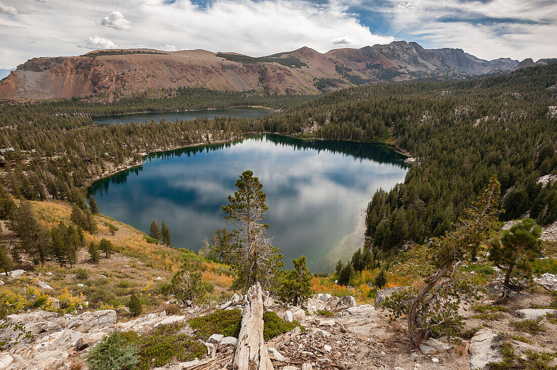 Landscape seen from the mountains above Mammoth Lakes with lush greenery, fir and mountain lakes.