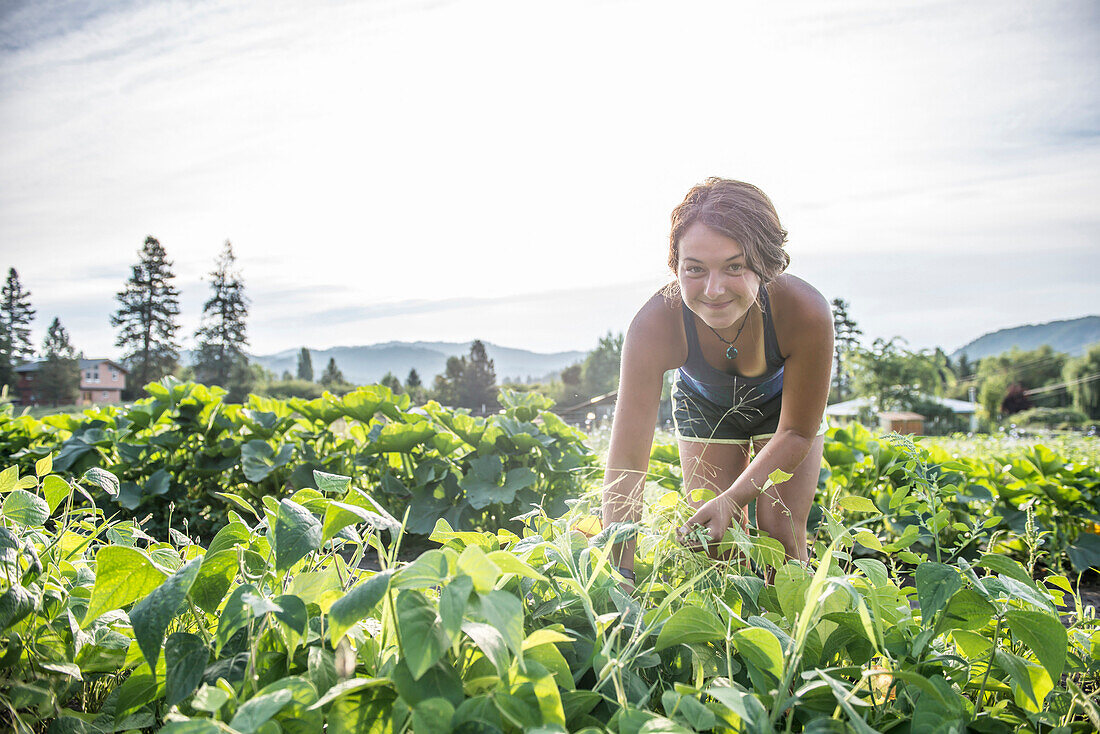 Kelsey McGill harvests green beans from an organic urban farm.