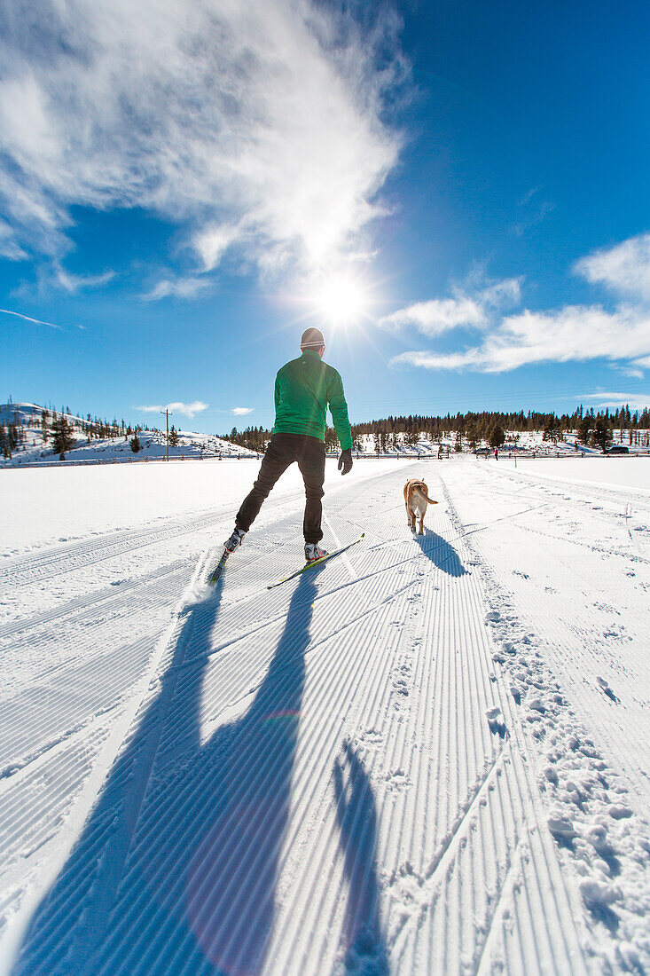 Man cross country skiing with dog.