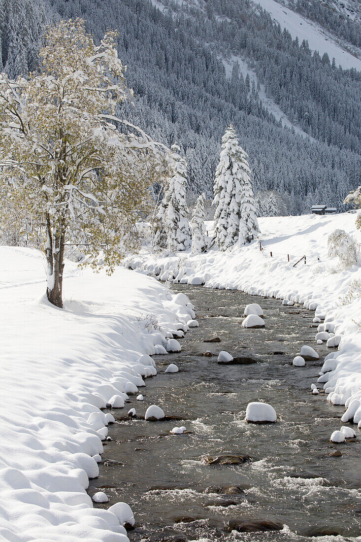 'Open creek along snow covered banks with snow covered trees and mountain slope in the background; Hintertux, Austria'