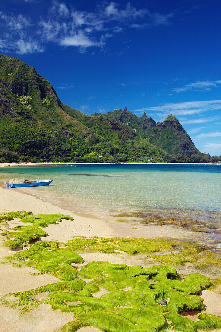 'Seaweed on the sand of Tunnels beach and a small boat at the water's edge; Kauai, Hawaii, United States of America'