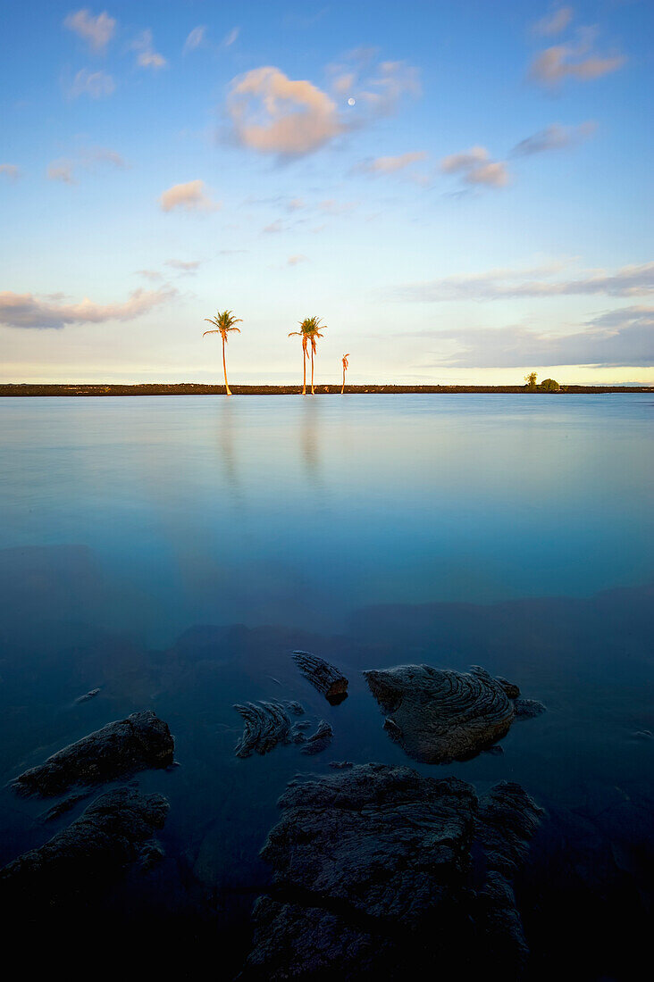 'Kiholo Bay pond; North Kona, Island of Hawaii, Hawaii, United States of America'