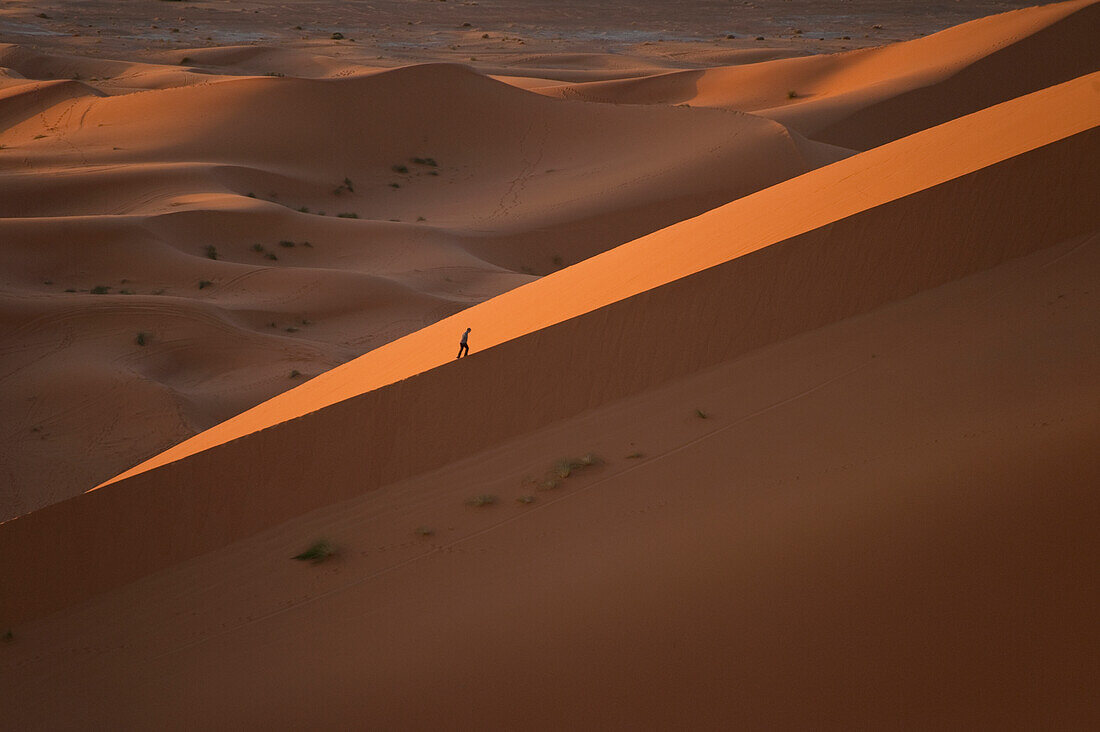 'Morocco, Man walking up large sand dune in Erg Chebbi area; Sahara Desert near Merzouga'
