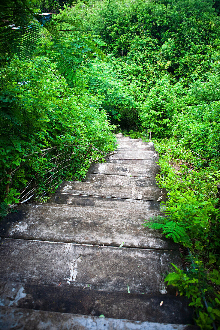 Path Through Ravine To Beach And Famous Surf Spot, Uluwatu, Bali, Indonesia