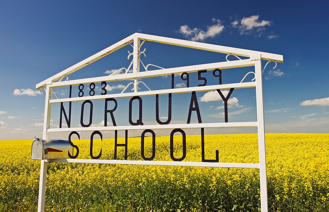 'School sign in front of bloom stage canola field near Somerset; Manitoba, Canada'