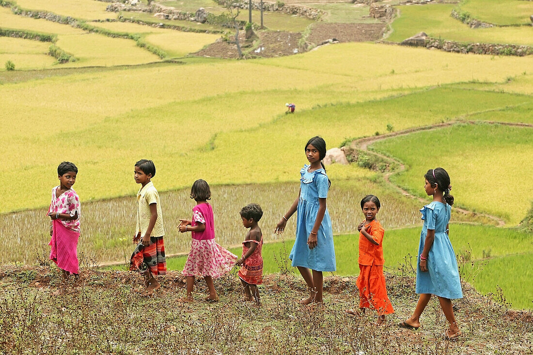 'A group of children play in the unnused paddy fields close to the village; Bangsa Ardual, Andrha Pradesh, India'