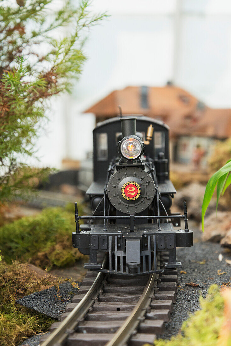 'Model g-gauge steam locomotive moves along track of garden railway exhibit at the Conservatory of Flowers, Golden Gate Park; San Francisco, California, United States of America'