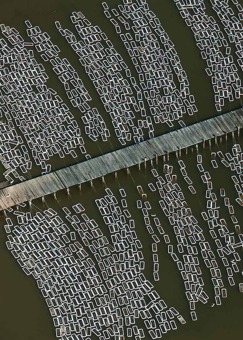 'Aerial view of an oyster hatchery; Cambridge, Maryland, United States of America'