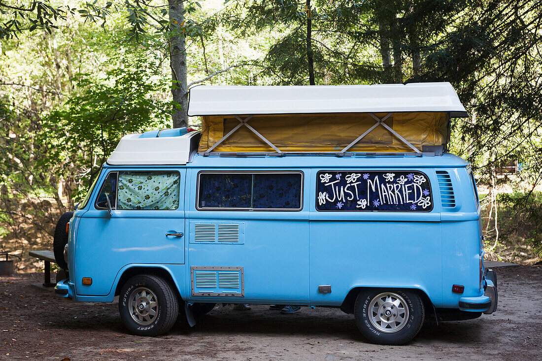 'A vintage blue camper van with a sign saying just married on the window; California, United States of America'