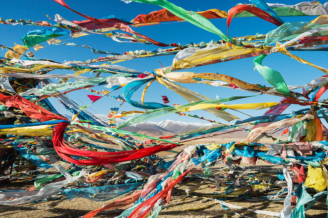 'Colourful Tibetan prayer flags (Lung ta) under the strong wind with white mountain tops in the background; Qinghai province, Tibet'