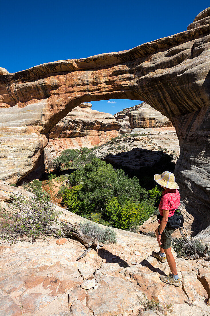'A female hiker looks at the rock bridge named Sipapu in the Natural Bridges National Monument; Utah, United States of America'