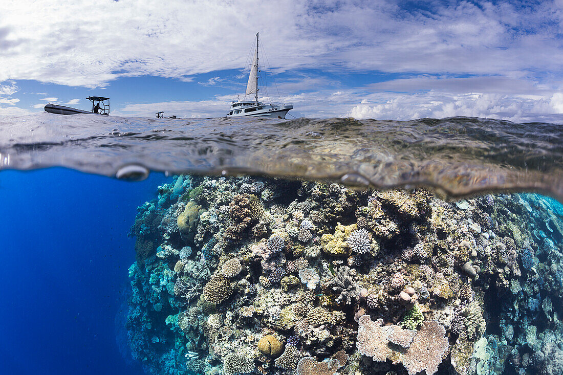 'A split scene of the live-aboard dive vessel, Naia, and it's two dive tenders over the reef known as Mount Mutiny; Fiji'