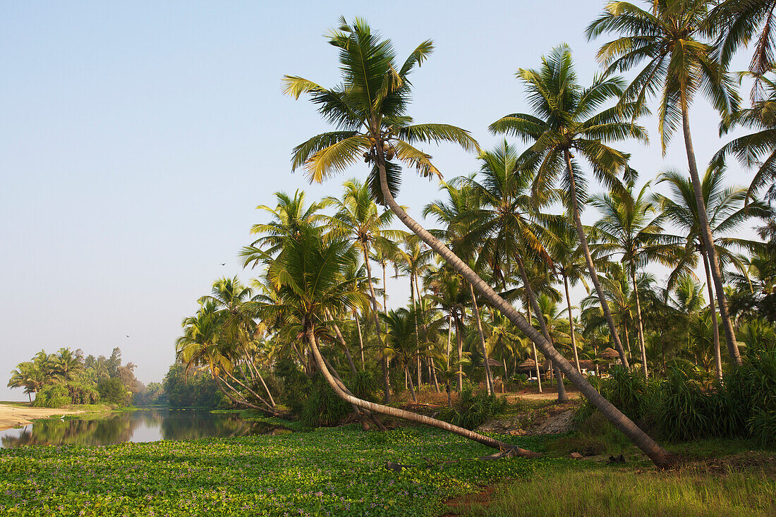 'Neeleshwar hermitage beach; Kerala, India'