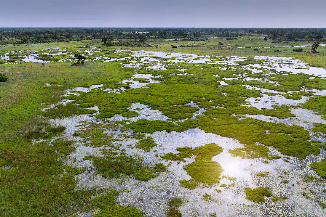 Okavango Delta, Botswana, Africa