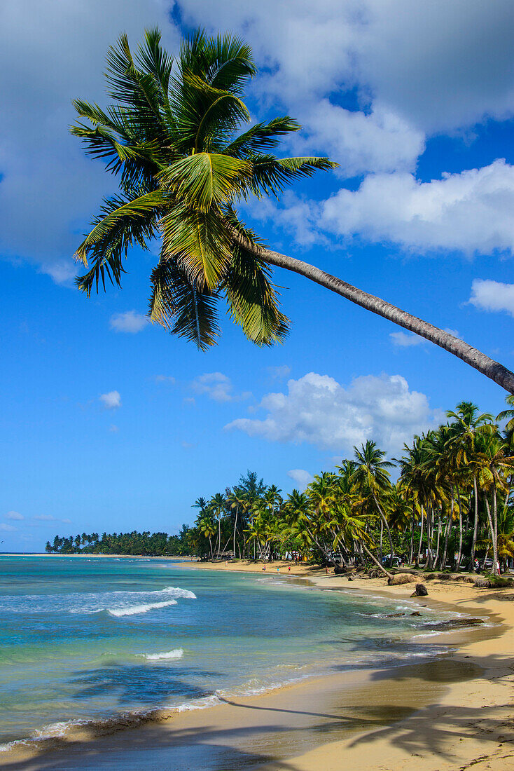 Casa Blanca Beach, Las Terrenas, Dominican Republic, West Indies, Caribbean, Central America