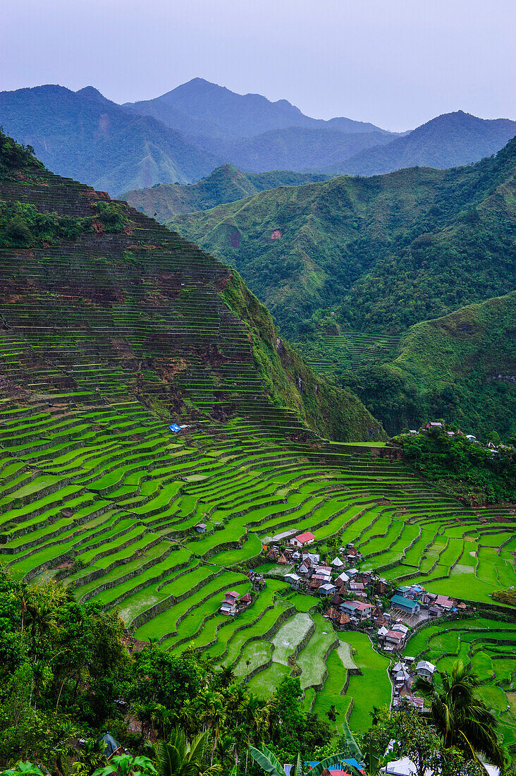 Batad rice terraces, part of the UNESCO World Heritage Site of Banaue, Luzon, Philippines, Southeast Asia, Asia