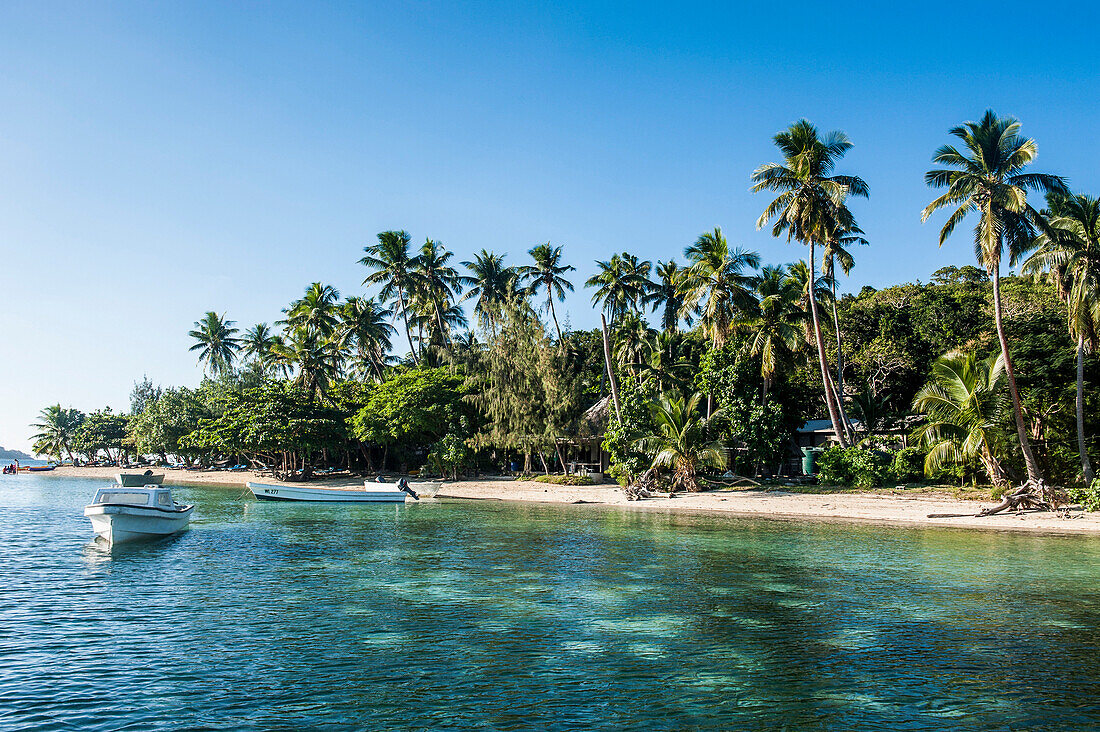 White sand beach, Nanuya Lailai island, the blue lagoon, Yasawas, Fiji, South Pacific, Pacific
