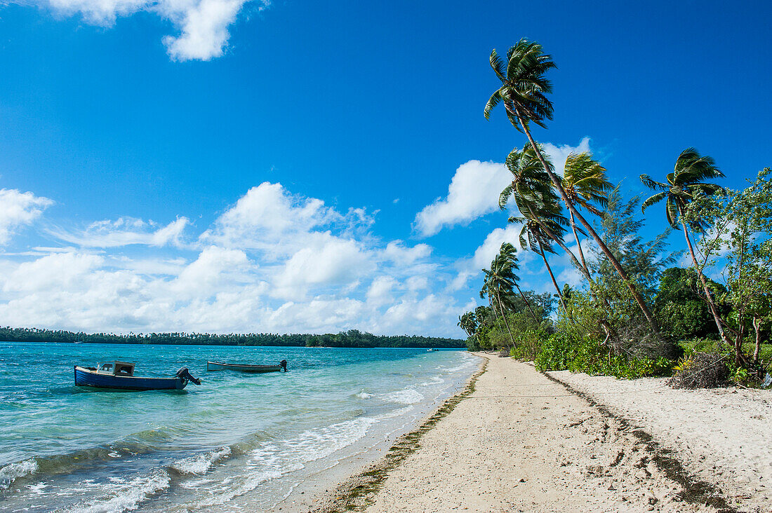 Palm fringed white sand beach on an islet of Vavau, Vavau Islands, Tonga, South Pacific, Pacific