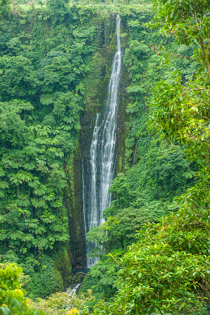 Papapapai-Tai Falls, Upolu, Samoa, South Pacific, Pacific