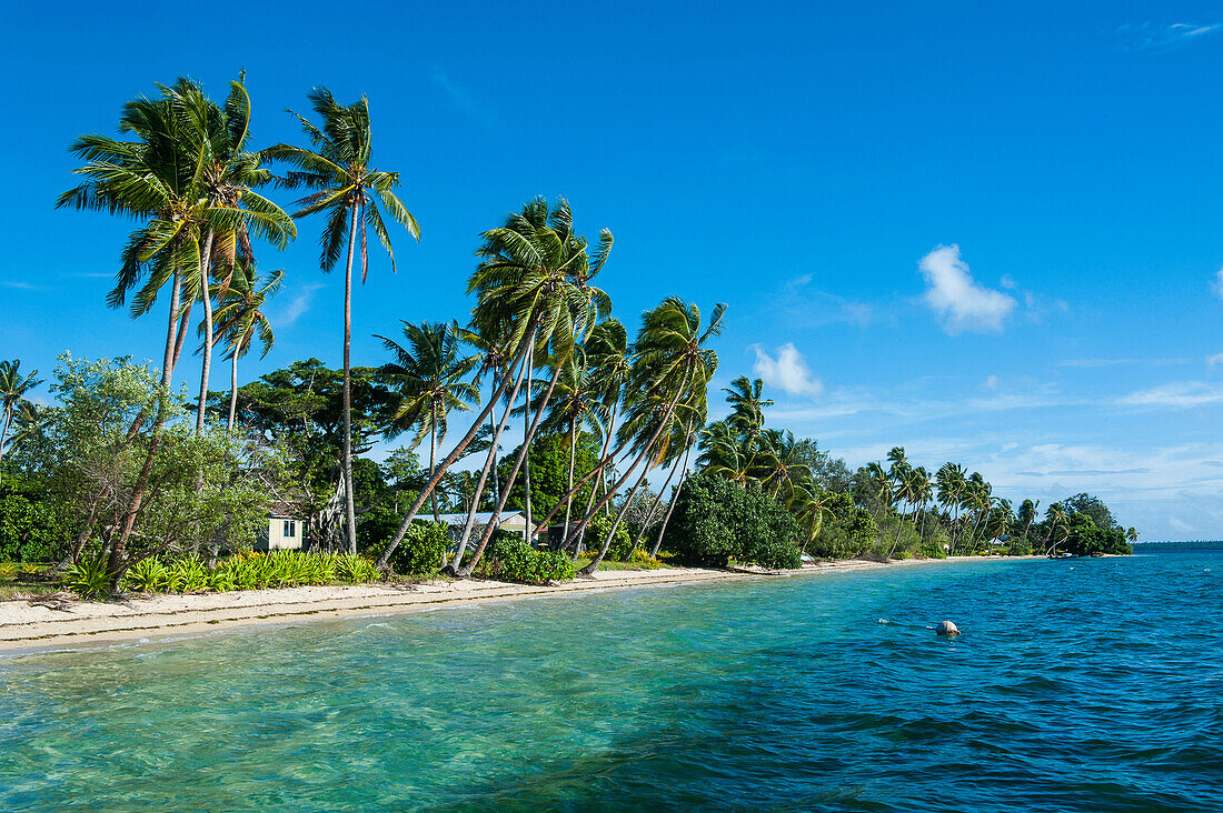 Palm fringed white sand beach on an islet of Vavau, Vavau Islands, Tonga, South Pacific, Pacific