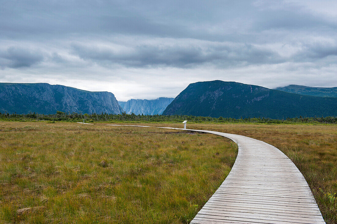 Walkway along Jerrys Pond in the Gros Morne National Park, UNESCO World Heritage Site, Newfoundland, Canada, North America