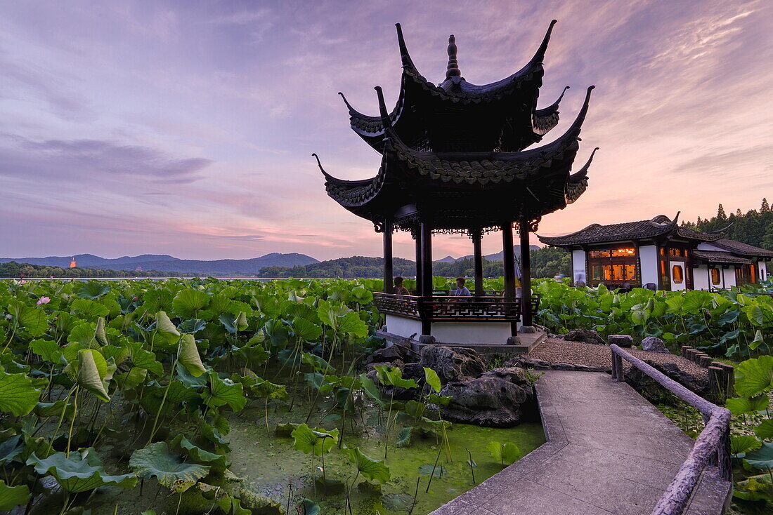 Pavilion, lotus field and zig zag bridge at West Lake, Hangzhou, Zhejiang, China, Asia