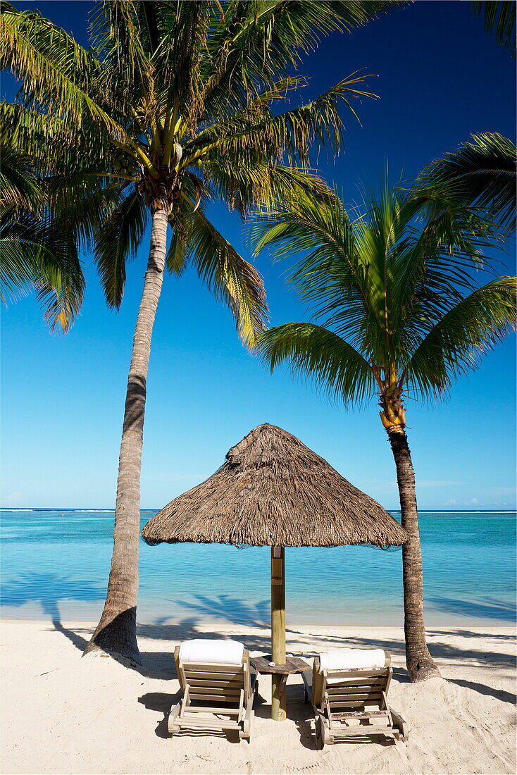 Palm trees and white sand beach near the Lux Le Morne Hotel on Le Morne Brabant Peninsula, Mauritius, Indian Ocean, Africa