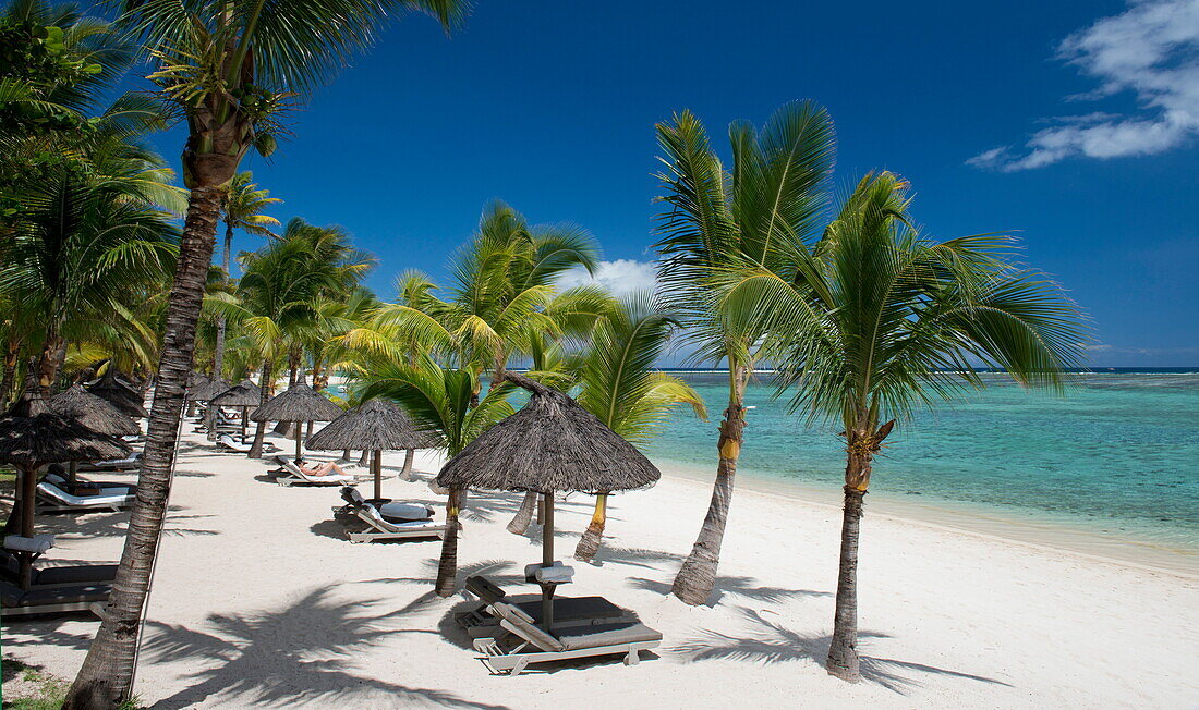 Palm trees and a white sand beach near the Lux le Morne Hotel, on the Le Morne Peninsula, Mauritius, Indian Ocean, Africa