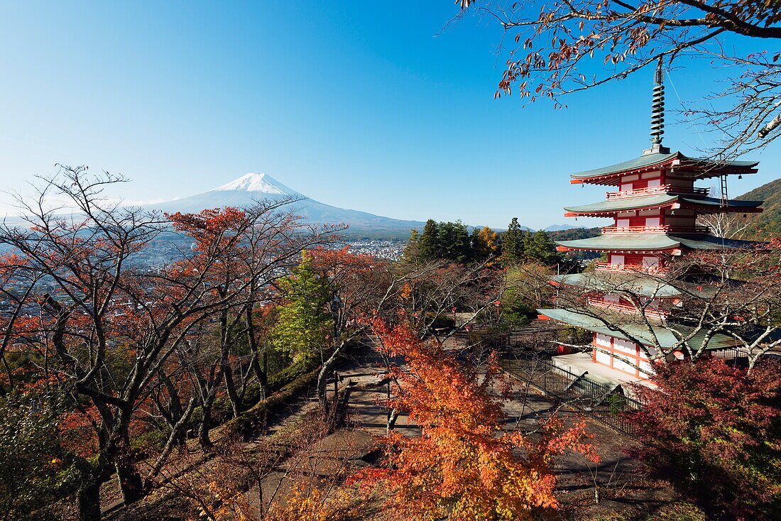Mount Fuji 3776m and Arakura Sengen Jinja Shinto shrine, UNESCO World Heritage Site, Honshu, Japan, Asia