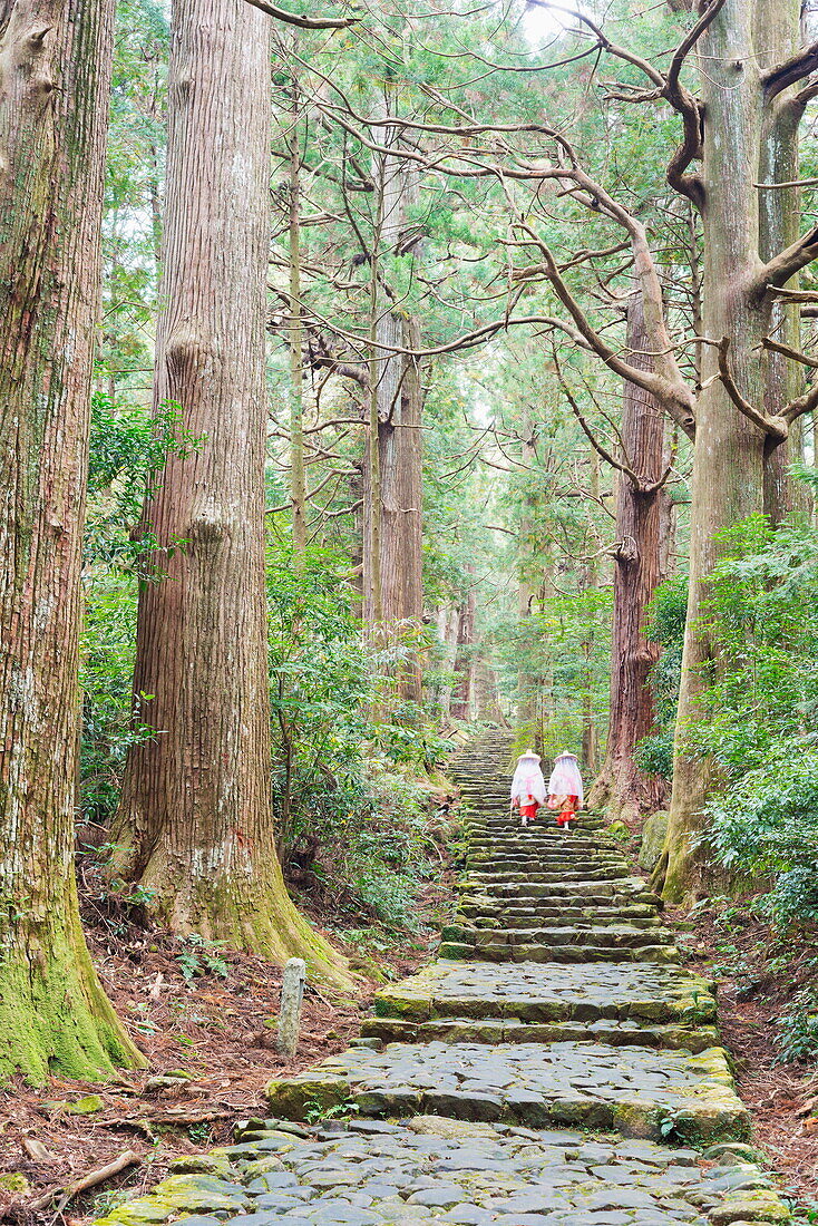 Pilgrims on Daimon-zaka Nachi Tokaido pilgrimage route, UNESCO World Heritage Site, Wakayama Prefecture, Honshu, Japan, Asia