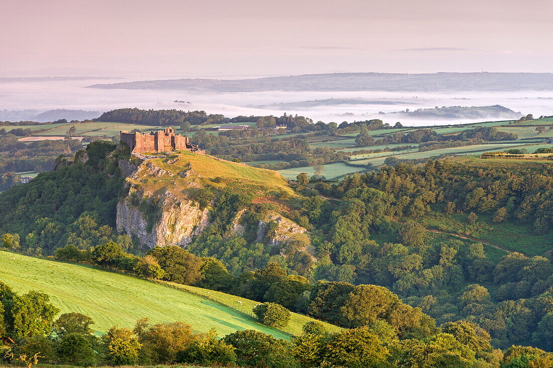 Ruins of Carreg Cennen Castle at dawn in the summer, Brecon Beacons, Carmarthenshire, Wales, United Kingdom, Europe