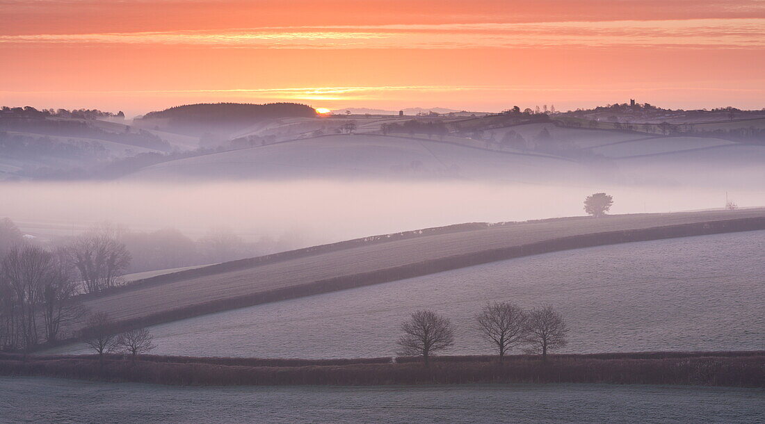 Frost and mist covered winter countryside, Morchard Bishop, Devon, England, United Kingdom, Europe