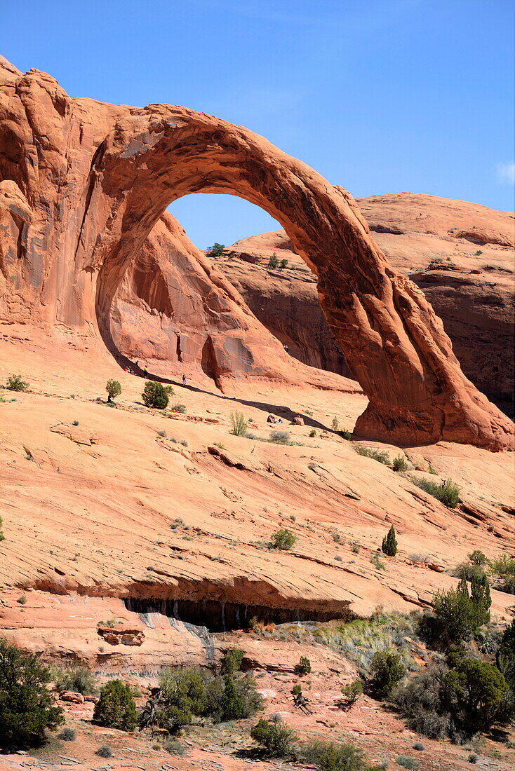 Corona Arch, Bootlegger Canyon, near Moab, Potash Road, Utah, United States of America, North America