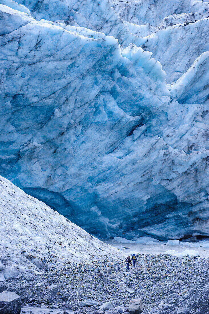 Tourist hiking to the giant glacial outflow of Fox Glacier, Westland Tai Poutini National Park, South Island, New Zealand, Pacific