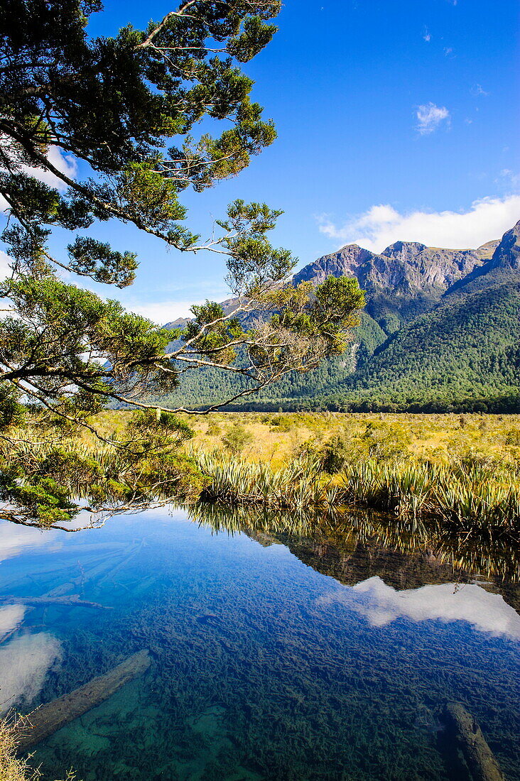 Mountains reflecting in the Mirror Lakes, Eglinton Valley, Fiordland National Park, UNESCO World Heritage Site, South Island, New Zealand, Pacific