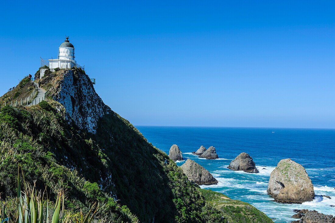 Nugget Point Lighthouse, the Catlins, South Island, New Zealand, Pacific