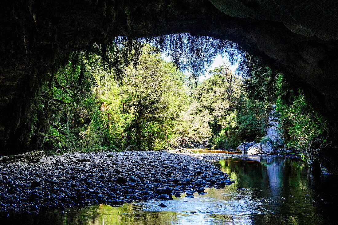 Moria Gate Arch in the Oparara Basin, Karamea, West Coast, South Island, New Zealand, Pacific
