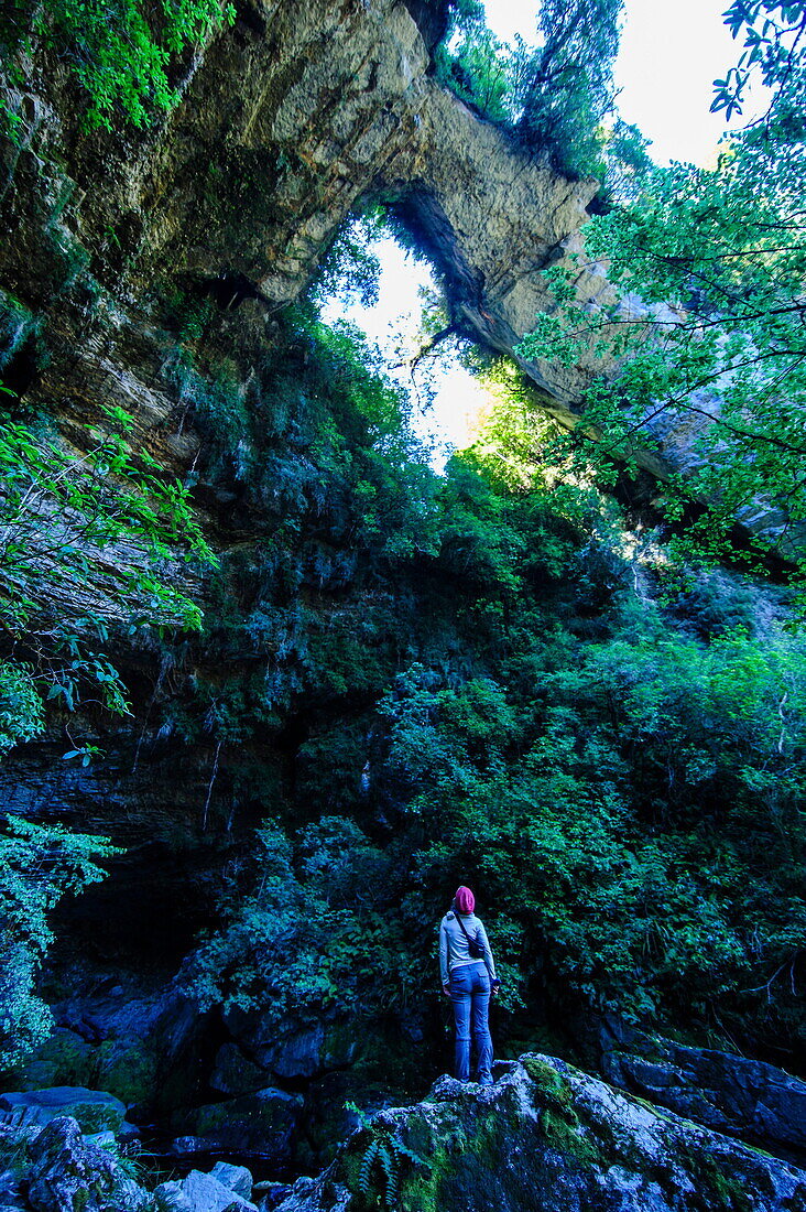 Woman looking at the stunning Oparara Arch in the Oparara Basin, Karamea, West Coast, South Island, New Zealand, Pacific