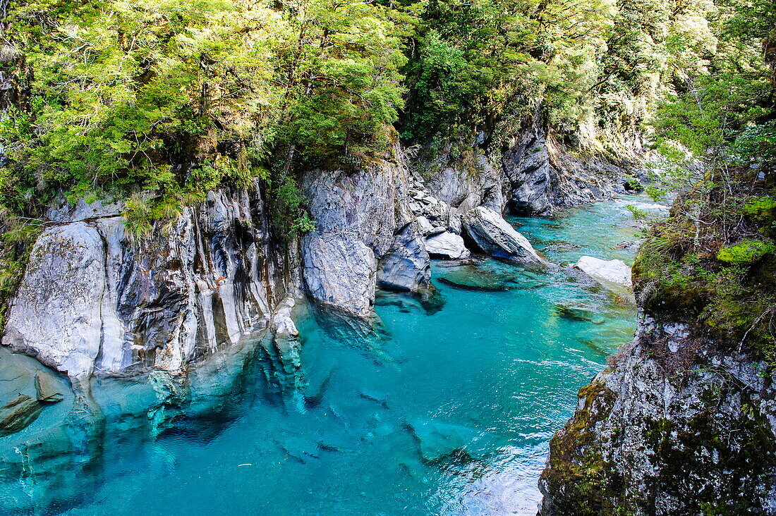 The stunning Blue Pools, Haast Pass, South Island, New Zealand, Pacific