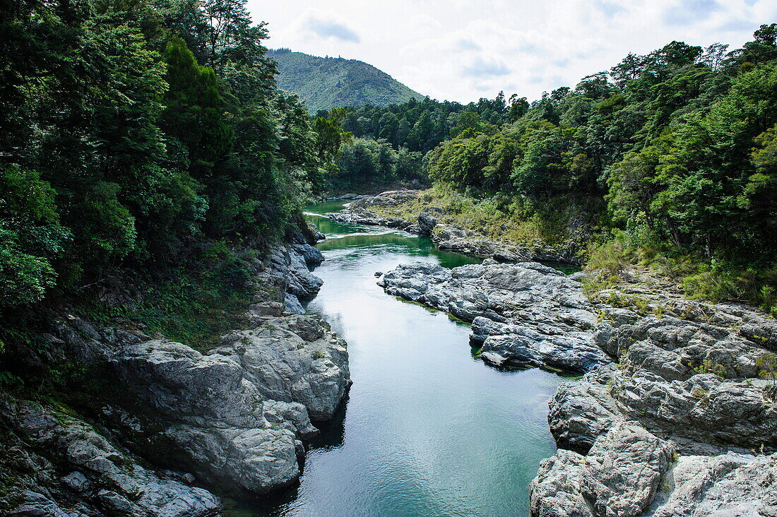 River contributing water to the Marlborough Sounds, South Island, New Zealand, Pacific