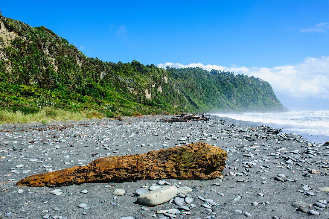 Greyrocky beach in Okarito along the road between Fox Glacier and Greymouth, South Island, New Zealand, Pacific