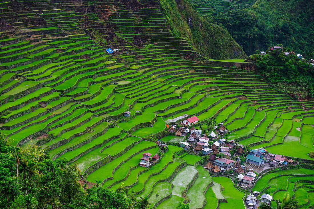 Batad rice terraces, part of the UNESCO World Heritage Site of Banaue, Luzon, Philippines, Southeast Asia, Asia