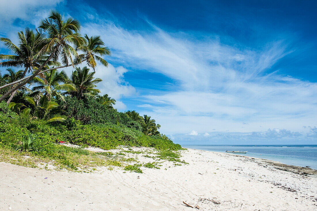 Palm fringed Kolovai beach, Tongatapu, Tonga, South Pacific, Pacific