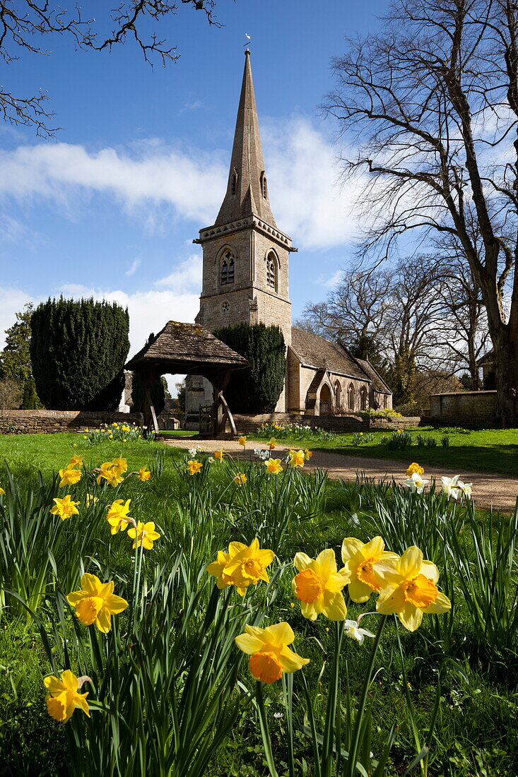The Parish Church of St. Mary with spring daffodils, Lower Slaughter, Cotswolds, Gloucestershire, England, United Kingdom, Europe