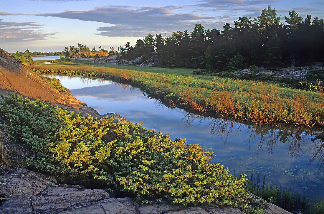 Evening light on granites and white pine … – License image – 70525315 ...